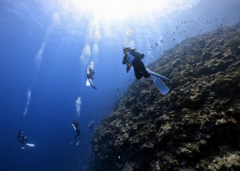 enjoyimage4